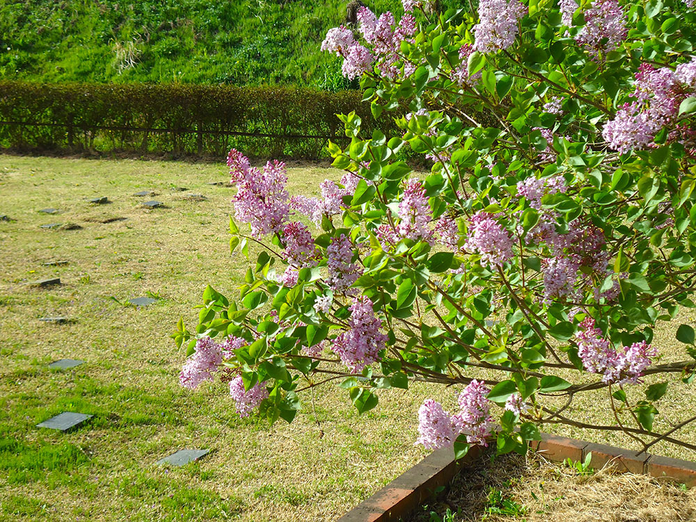 盛岡霊園　霊園について