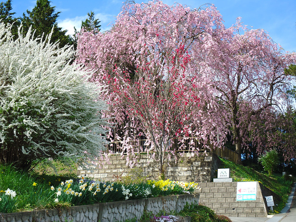 盛岡霊園　アクセス